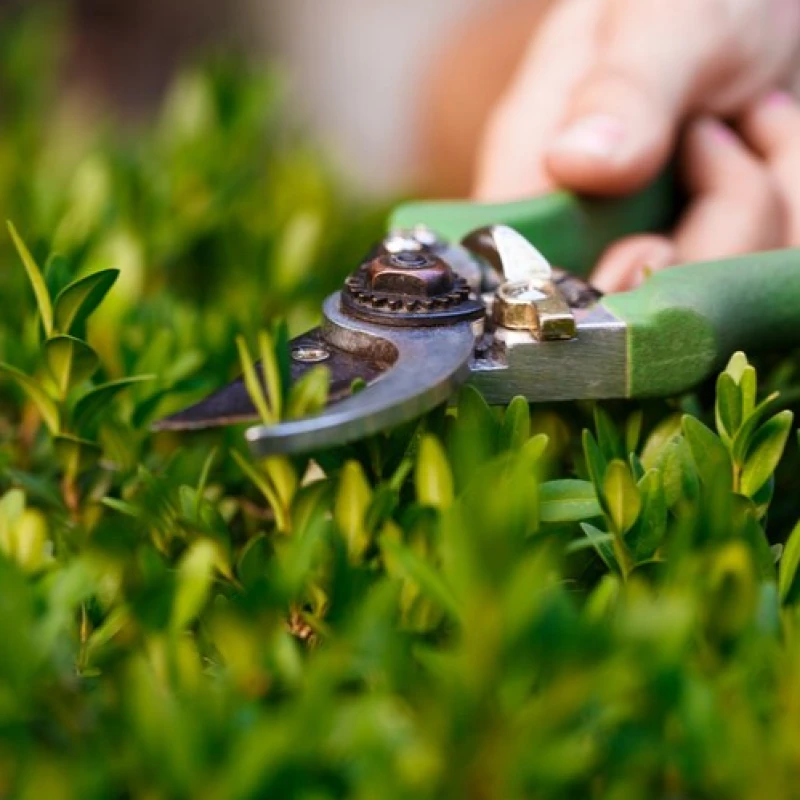 خدمات حدائق