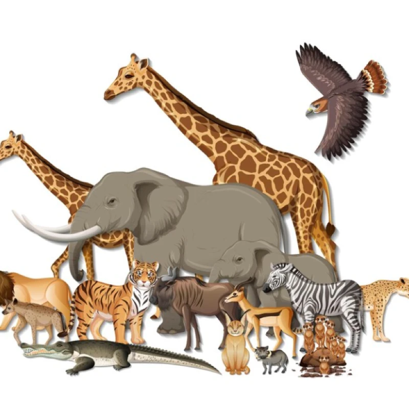 حيوانات اخرى